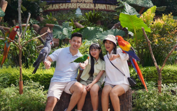 The Grand Taman Safari Prigen Jawa Timur